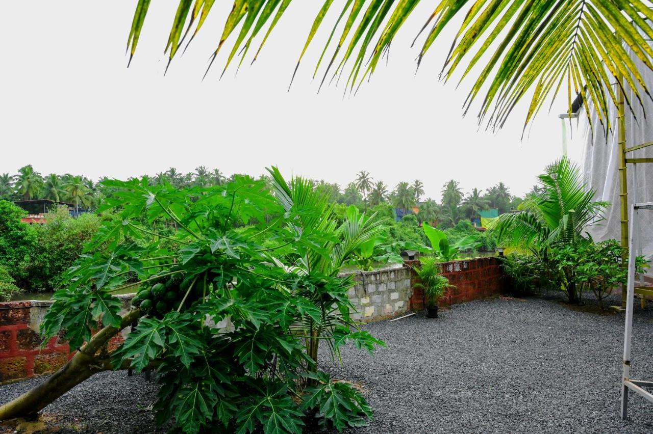 Vedana Retreat Arambol Hotel Buitenkant foto